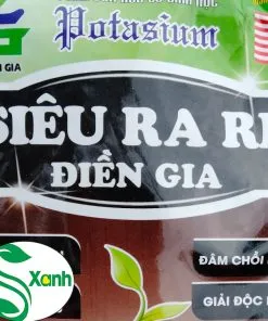 Sản phẩm SIEU RA RE DG 3 247x296 — Công Ty TNHH Cây Cảnh S-Xanh — MST 3901306380