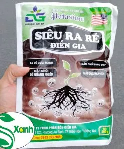Sản phẩm SIEU RA RE DG 4 247x296 — Công Ty TNHH Cây Cảnh S-Xanh — MST 3901306380