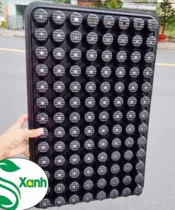Sản phẩm vi 104 lo 1 247x296 — Công Ty TNHH Cây Cảnh S-Xanh — MST 3901306380