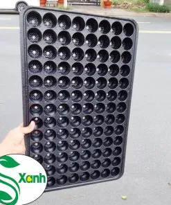 Sản phẩm vi 104 lo 2 247x296 — Công Ty TNHH Cây Cảnh S-Xanh — MST 3901306380
