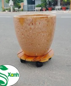 Sản phẩm de banh xe 247x296 — Công Ty TNHH Cây Cảnh S-Xanh — MST 3901306380