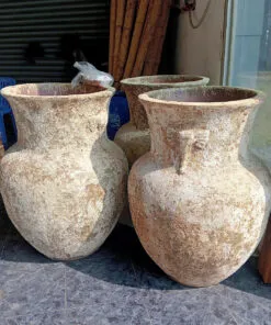 Sản phẩm chau 1 247x296 — Công Ty TNHH Cây Cảnh S-Xanh — MST 3901306380