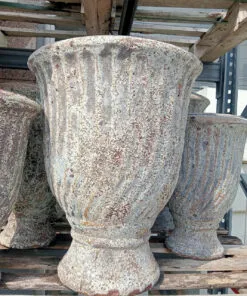 Sản phẩm chau2 247x296 — Công Ty TNHH Cây Cảnh S-Xanh — MST 3901306380