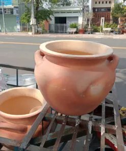 Sản phẩm dat nung 1 247x296 — Công Ty TNHH Cây Cảnh S-Xanh — MST 3901306380