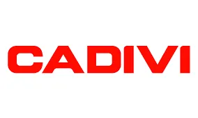 Sản phẩm cadivi — Pallet Gỗ BI VI - Công Ty TNHH BI VI — MST 4000830505