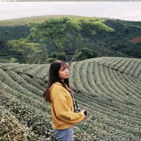 Sản phẩm du licca3ch da lacca3t dung quen ghe check in doi che cau dat 149 280x280 — Công Ty TNHH Du Lịch Quảng Nam — MST 4001012037
