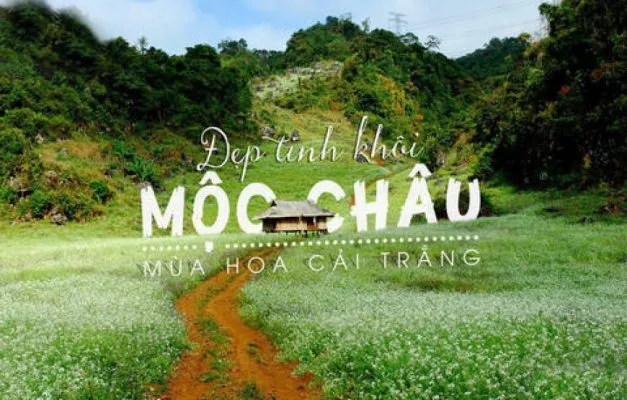 Sản phẩm 16219293384734 870x555 1 627x400 — Công Ty TNHH Du Lịch Quảng Nam — MST 4001012037