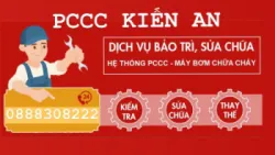 Sản phẩm b879e31b9be264bc3df3 e1624613622643 — Công Ty TNHH MTV Thương Mại Dịch Vụ Tổng Hợp Kiến An — MST 4001023896