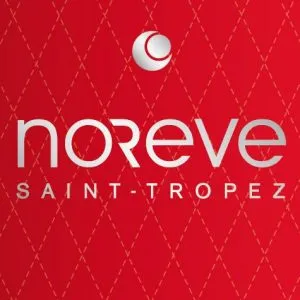 Sản phẩm NOREVE 300x300 — Công Ty Cổ Phần Da Công Nghiệp Việt Nam — MST 4001069160