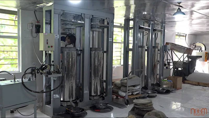 Sản phẩm daueplanh5 min — Công Ty TNHH Thực Phẩm Noom — MST 4001074770
