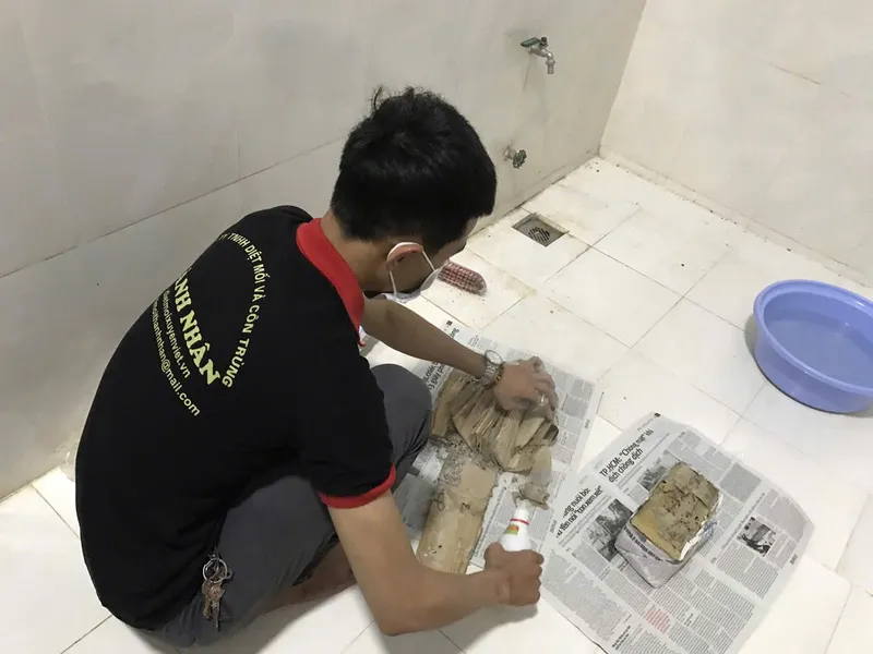 Sản phẩm z6575429252628_5c9eaf241bf258885d6b8156c7492e60 — Công Ty TNHH Diệt Mối Và Côn Trùng Thành Nhân — MST 4001087385