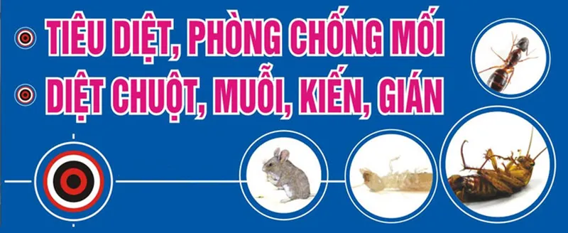 Sản phẩm diet moi tan goc — Công Ty TNHH Diệt Mối Và Côn Trùng Thành Nhân — MST 4001087385