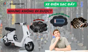 Sản phẩm ly do xe dien sac day nhung khong di duoc 300x179 — ắc Quy Việt Long - Công Ty TNHH MTV Hàng Tiêu Dùng Việt Long — MST 4001104094