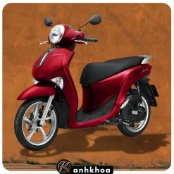 Sản phẩm janus rental hoi an1 247x247 — Công Ty TNHH Anh Khoa Hội An — MST 4001210046