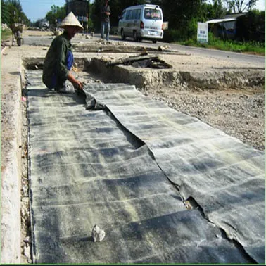 Sản phẩm bao tai day tam nhua duong — Công Ty TNHH An Mạnh Khang Group — MST 4001250024