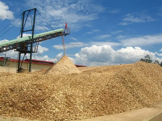 Sản phẩm dam go xuat khau_1 — Tổng Công Ty Pisico Bình Định - Công Ty Cổ Phần — MST 4100258987