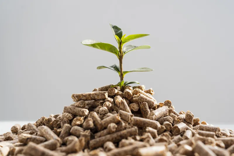 Sản phẩm front view plant growing from pellets scaled — Gỗ Phú Tài - Công Ty CP Phú Tài — MST 4100259236