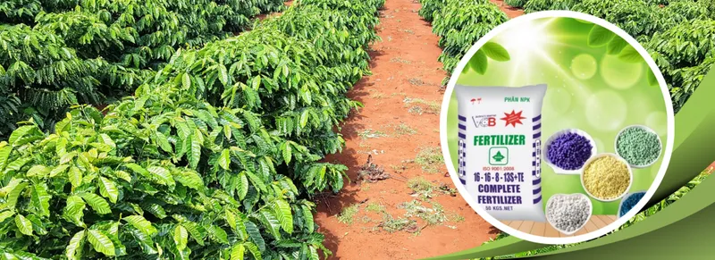 Sản phẩm 2 1024x373 — Công Ty Cổ Phần Phân Bón Và Dịch Vụ Tổng Hợp Bình Định — MST 4100405487