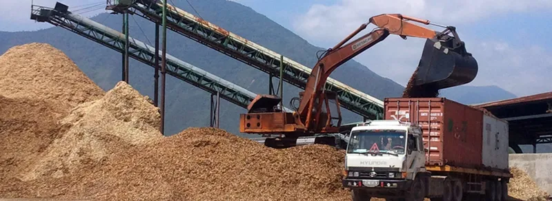 Sản phẩm img_06 — Dăm Gỗ Đức Hải - Công Ty TNHH Đức Hải — MST 4100558966