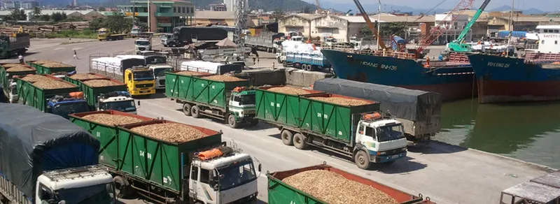 Sản phẩm img_07 — Dăm Gỗ Đức Hải - Công Ty TNHH Đức Hải — MST 4100558966