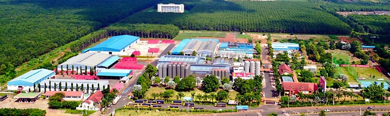 Sản phẩm TongMB_SMB2022 1024x305 1 — Nước Giải Khát Bia Sài Gòn - Miền Trung - Công Ty CP Bia Sài Gòn - Miền Trung — MST 4100739909
