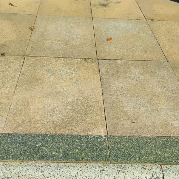 Sản phẩm dai phu gia 1 600x600 — Công Ty TNHH Thịnh Gia — MST 4100790599