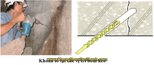Sản phẩm chong tham quy nhon 132 — Công Ty TNHH Thương Mại Và Xây Dựng Tân Thanh — MST 4101118284