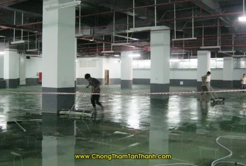 Sản phẩm chong tham quy nhon 6 — Công Ty TNHH Thương Mại Và Xây Dựng Tân Thanh — MST 4101118284