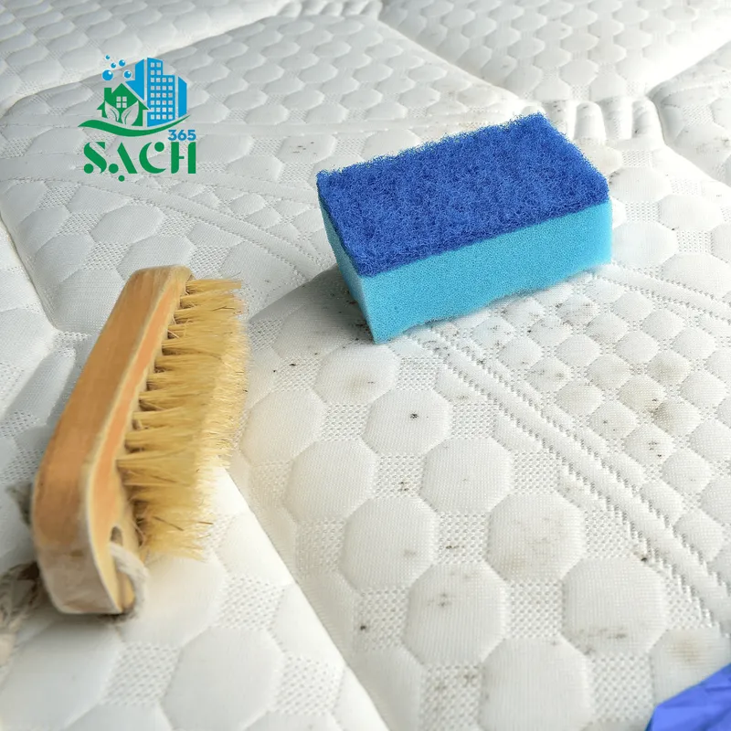 Sản phẩm 4 — Công Ty TNHH Thương Mại Dịch Vụ Sạch 365 — MST 4101575795