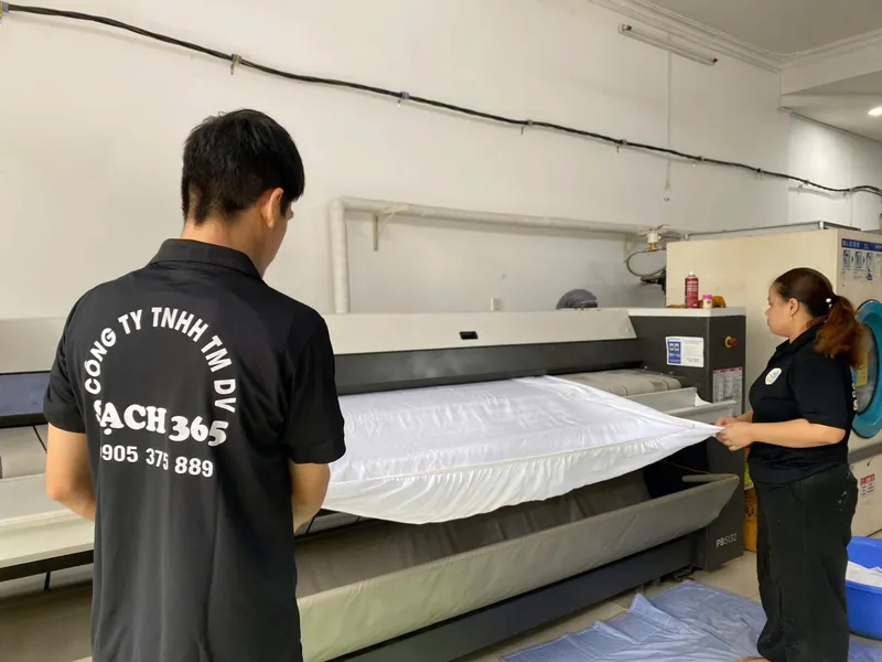 Sản phẩm 2 scaled — Công Ty TNHH Thương Mại Dịch Vụ Sạch 365 — MST 4101575795