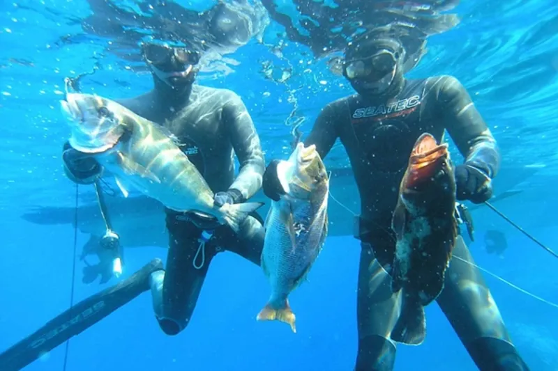 Sản phẩm LAN BAN CA — Công Ty TNHH Ocean Sports VN — MST 4101599764