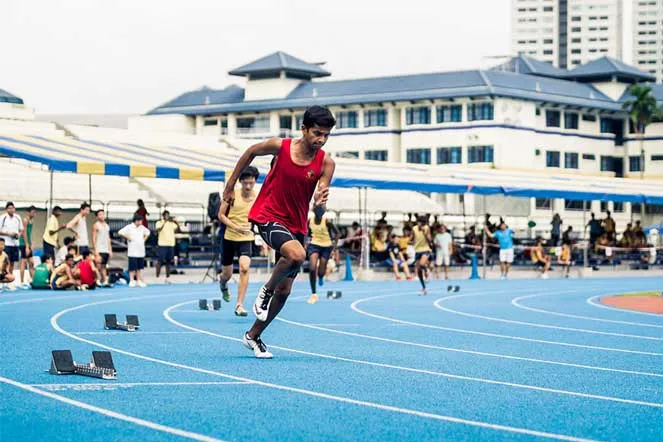 Sản phẩm mgmb solo sports — Sodex Sport - Công Ty TNHH Sodex Sport — MST 4200239000