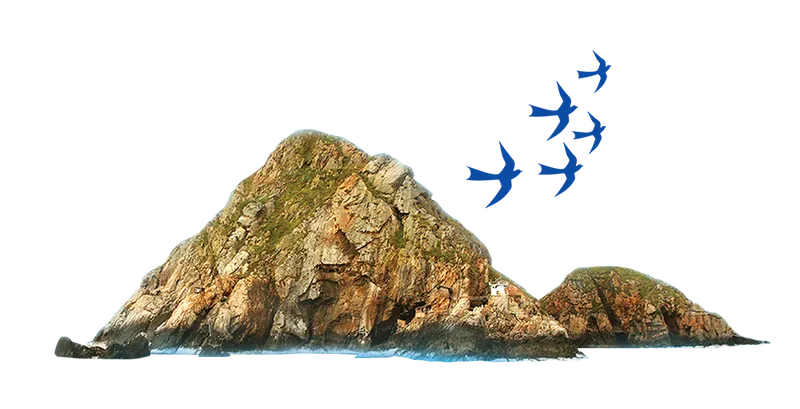 Sản phẩm nest island.b8228037 — Công Ty TNHH Nhà Nước MTV Yến Sào Khánh Hòa — MST 4200338918