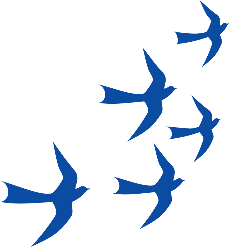 Sản phẩm swiftlets.8db16e6f — Công Ty TNHH Nhà Nước MTV Yến Sào Khánh Hòa — MST 4200338918