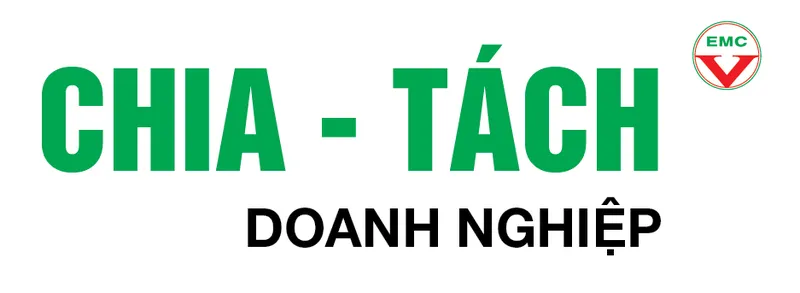 Sản phẩm Chia tach DN — Công Ty TNHH Tư Vấn Quản Lý Doanh Nghiệp — MST 4201172253