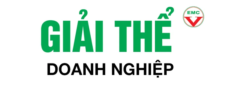 Sản phẩm Giai the DN — Công Ty TNHH Tư Vấn Quản Lý Doanh Nghiệp — MST 4201172253
