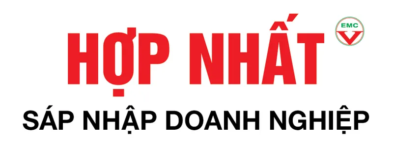 Sản phẩm Hop Nhat Sap Nhap DN — Công Ty TNHH Tư Vấn Quản Lý Doanh Nghiệp — MST 4201172253