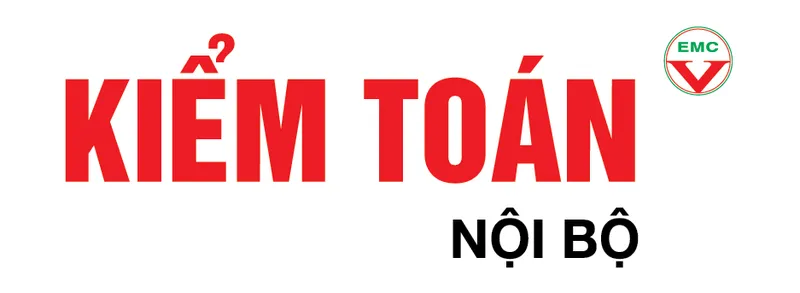 Sản phẩm Kiem Toan Noi Bo — Công Ty TNHH Tư Vấn Quản Lý Doanh Nghiệp — MST 4201172253