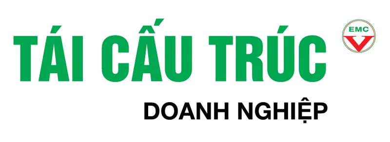 Sản phẩm Tai Cau Truc Doanh Nghiep — Công Ty TNHH Tư Vấn Quản Lý Doanh Nghiệp — MST 4201172253