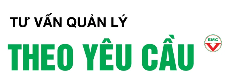 Sản phẩm Tu Van Quan Ly Theo Yeu Cau — Công Ty TNHH Tư Vấn Quản Lý Doanh Nghiệp — MST 4201172253