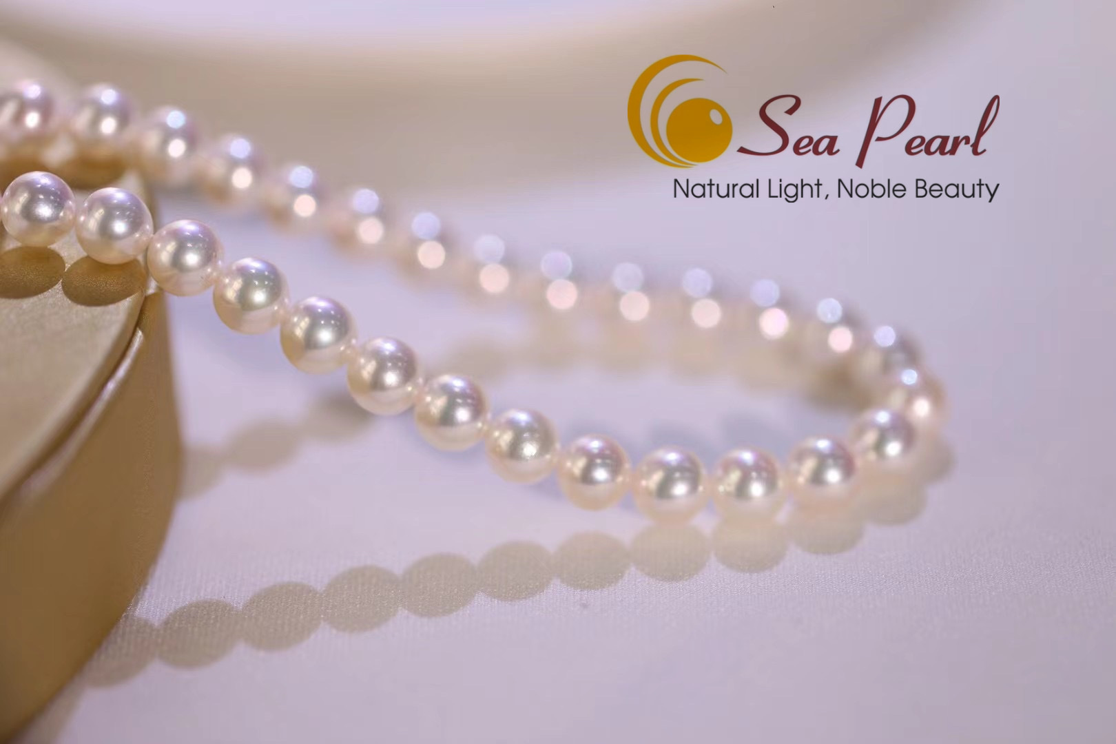Sản phẩm home_insta_item_image_3.jpg?1772693676847 — Công Ty TNHH DL& TM Biển Ngọc — MST 4201178417