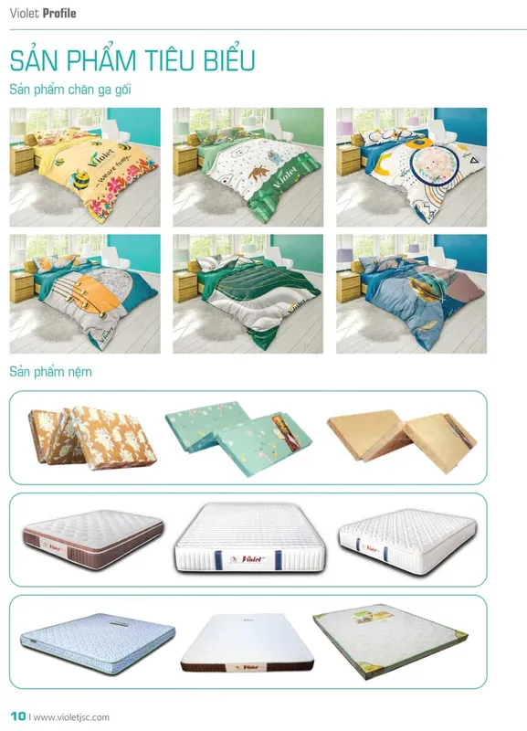 Sản phẩm profile violet 10 — Công Ty Cổ Phần Sản Xuất Thương Mại Violet — MST 4201253008