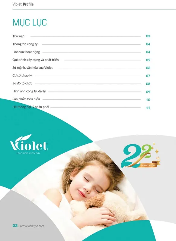 Sản phẩm profile violet 2 — Công Ty Cổ Phần Sản Xuất Thương Mại Violet — MST 4201253008