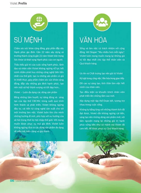 Sản phẩm profile violet 6 — Công Ty Cổ Phần Sản Xuất Thương Mại Violet — MST 4201253008
