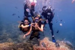 Sản phẩm tour lan bien hon mun 1 247x165 — Công Ty TNHH MTV Nha Trang Tourist — MST 4201533100