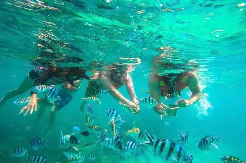 Sản phẩm tour lan bien hon mun 3 — Công Ty TNHH MTV Nha Trang Tourist — MST 4201533100