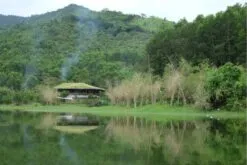 Sản phẩm tour lang nho 1 ngay 1 247x165 — Công Ty TNHH MTV Nha Trang Tourist — MST 4201533100