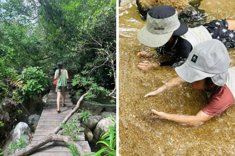 Sản phẩm tour lang nho hiking bang rung 7 — Công Ty TNHH MTV Nha Trang Tourist — MST 4201533100