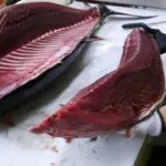 Sản phẩm WuBsYsJdj38QvSlqyfjD37Coy2VsYPmfu Cj0qo1bAMMuT3vRO8CN_vhIUh8TMtaboUXgAknRcVNycprI_uwsboUEHYQ7OTkwHrabJGnCYmhHFMQSRLcxAE7ekbf2XAwCUEhAoNko QbkAlnEA 150x150 — Công Ty Cổ Phần AnhNguyenTour- Việt Nam — MST 4201567075