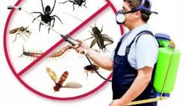 Sản phẩm tải_xuống — Công Ty TNHH Dịch Vụ Vệ Sinh Công Nghiệp Khánh Xuân — MST 4201783848